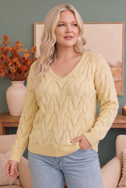 PLUS VANILLA V NECK LONG SLEEVE PATTERNED SOLID SWEATER KNIT TOP