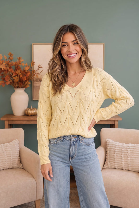 VANILLA V NECK LONG SLEEVE PATTERNED SOLID SWEATER KNIT TOP