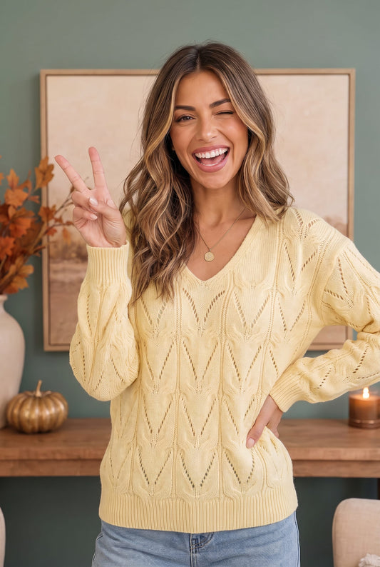 VANILLA V NECK LONG SLEEVE PATTERNED SOLID SWEATER KNIT TOP