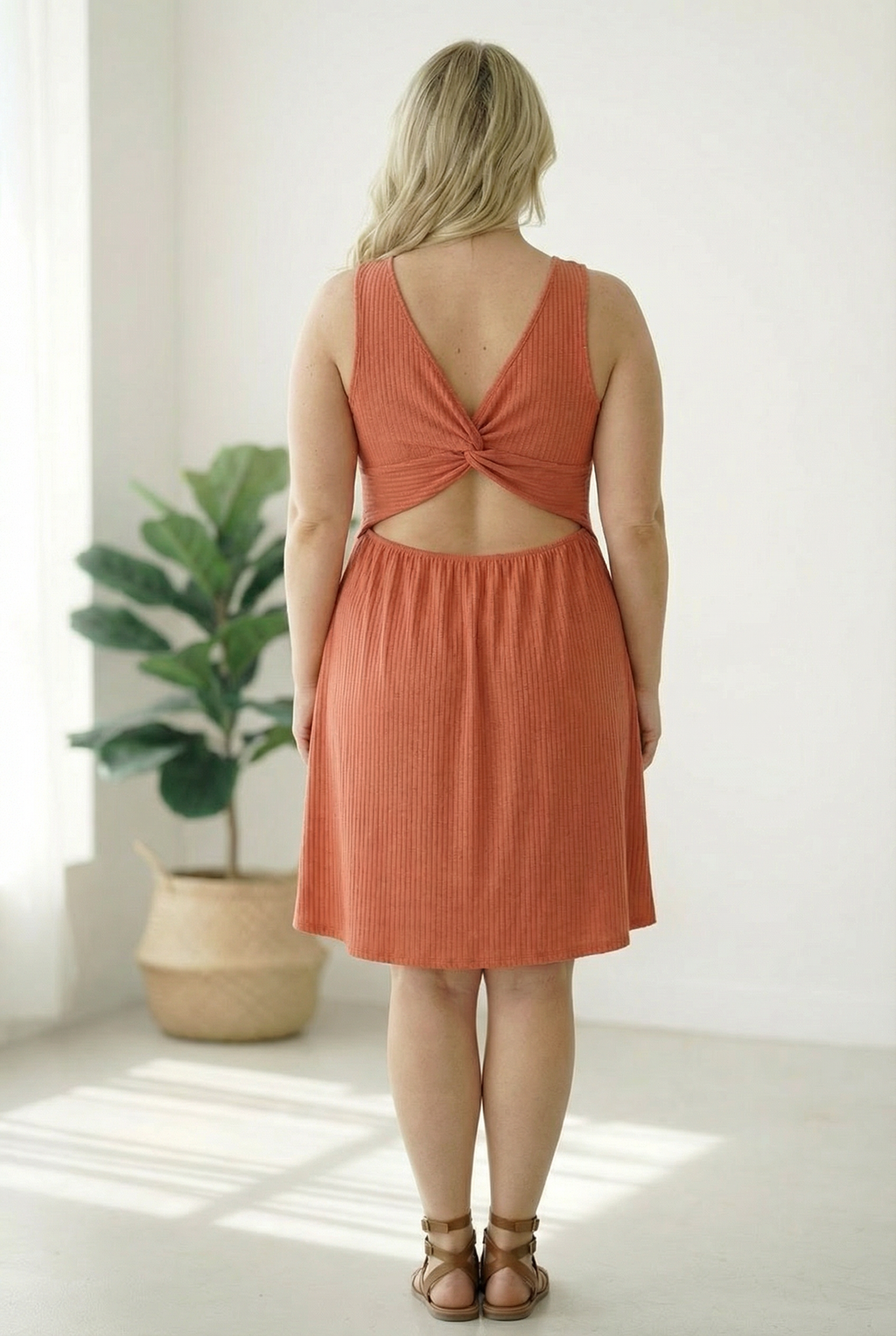 Plus Rust textured Back Design Dress