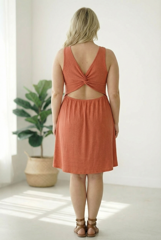 Plus Rust textured Back Design Dress